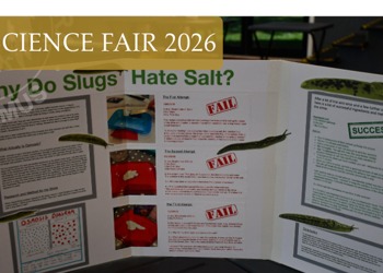 Inaugural Science Fair – A Celebration of Curiosit...