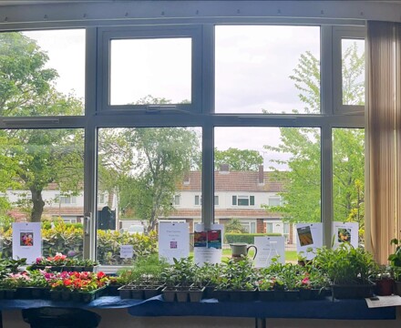 Charity Plant Sale