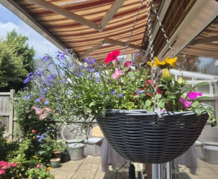 Charity Plant Sale 4