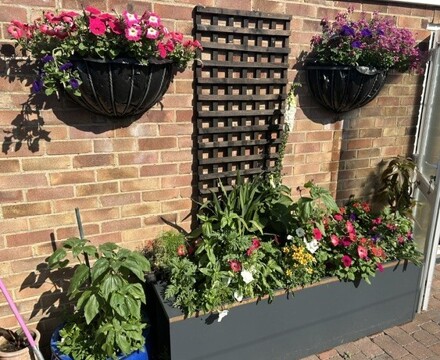 Charity Plant Sale 3